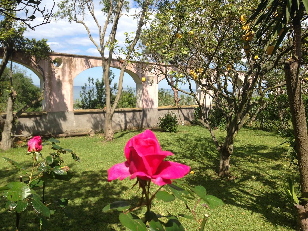 Апарт отель La Rosa Dei Venti Прочида Экстерьер фото
